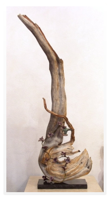 Bronze and Wood Fusion