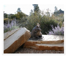 Sculpture Garden Bronzes