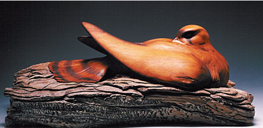 Nesting Peregrine Falcon