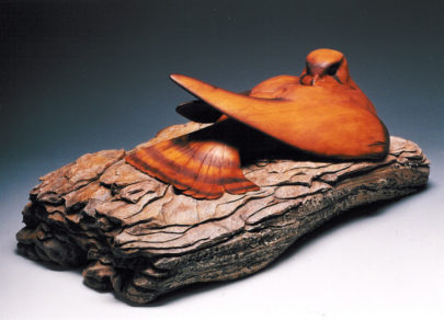 Nesting Peregrine Falcon