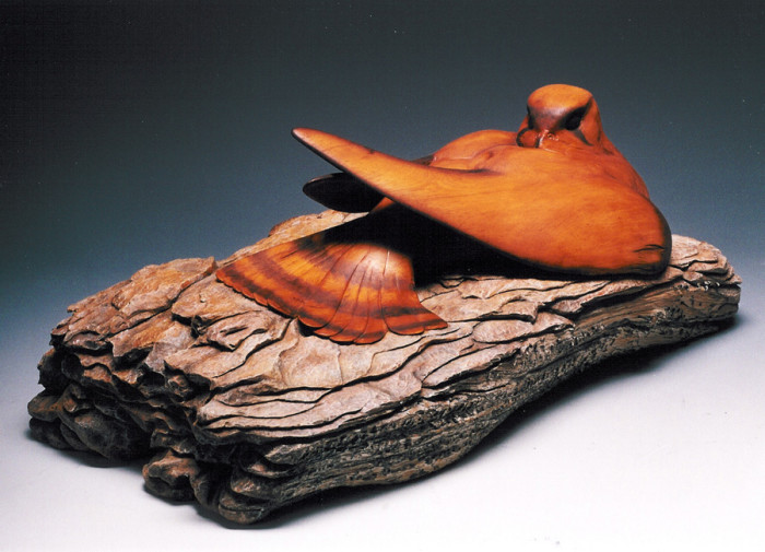 Nesting Peregrine Falcon