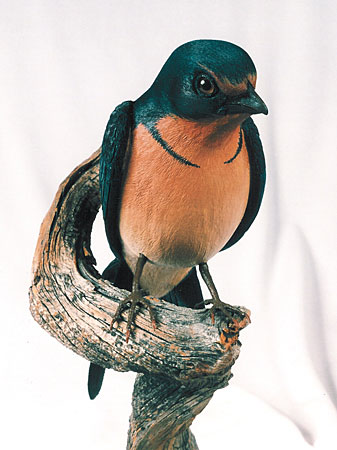 Barnswallow