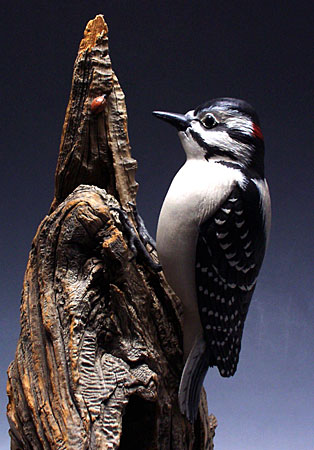 Downy Woodpecker