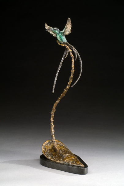 Streamertail Hummingbird