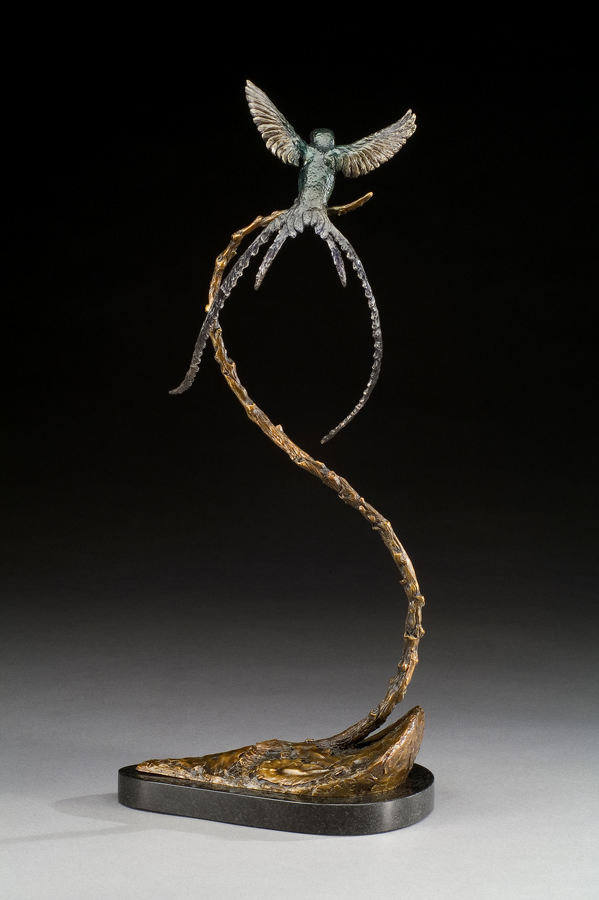 Streamertail Hummingbird