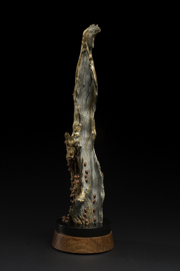 Making it to the Top