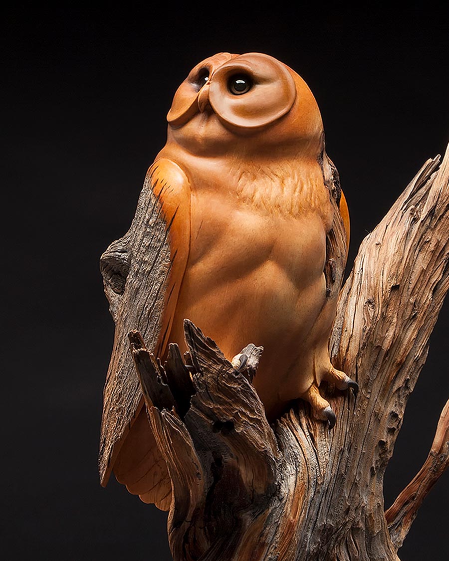 Half Moon Hunter Bristlecone Pine