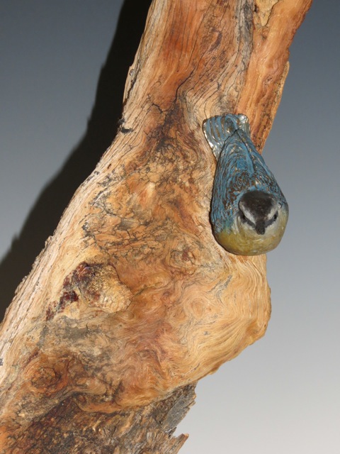 Victoria Parsons Abundance Look at Birds and Ladybugs on a tree in Nature