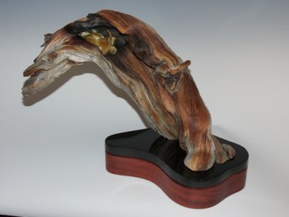 Bronze mouse with leaves and nuthatch on rare bristlecone pine.