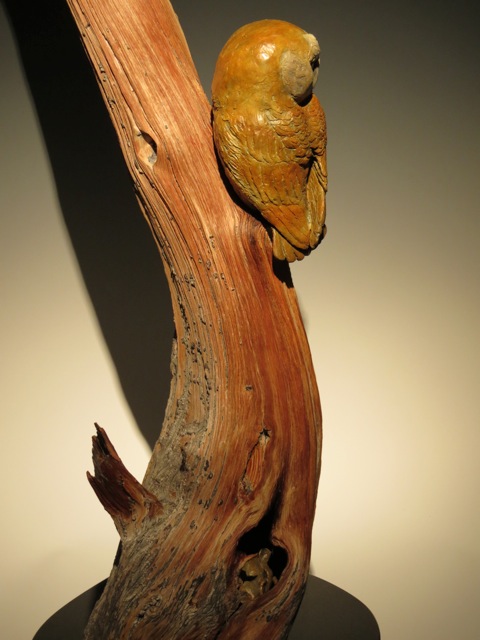 So Close Barn Owl side view gallery Victoria Parsons Sculpture