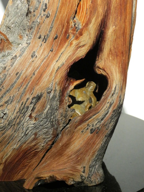 So Close Victoria Parsons Close up look at the barn owl so close