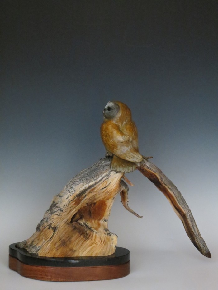 Last Light Before Flight