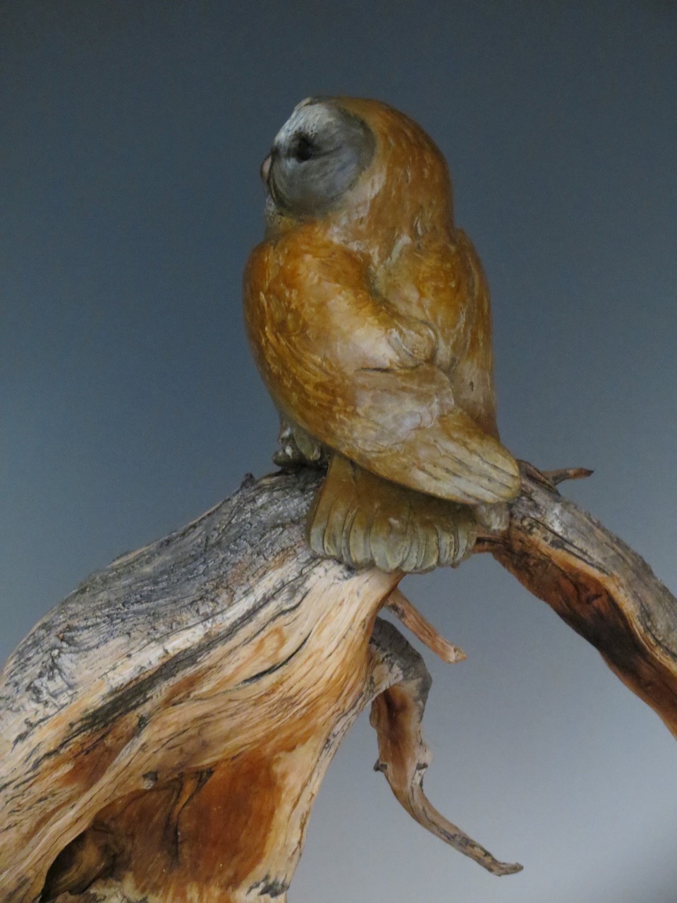 Last Light Before Flight