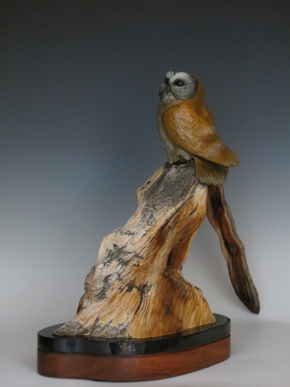 Last Light Before Flight