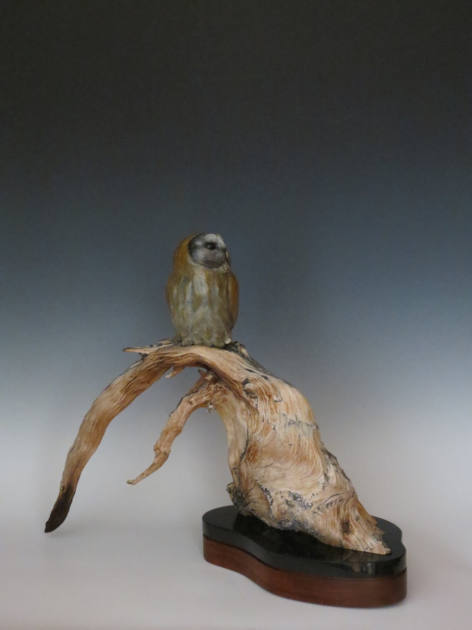 Last Light Before Flight