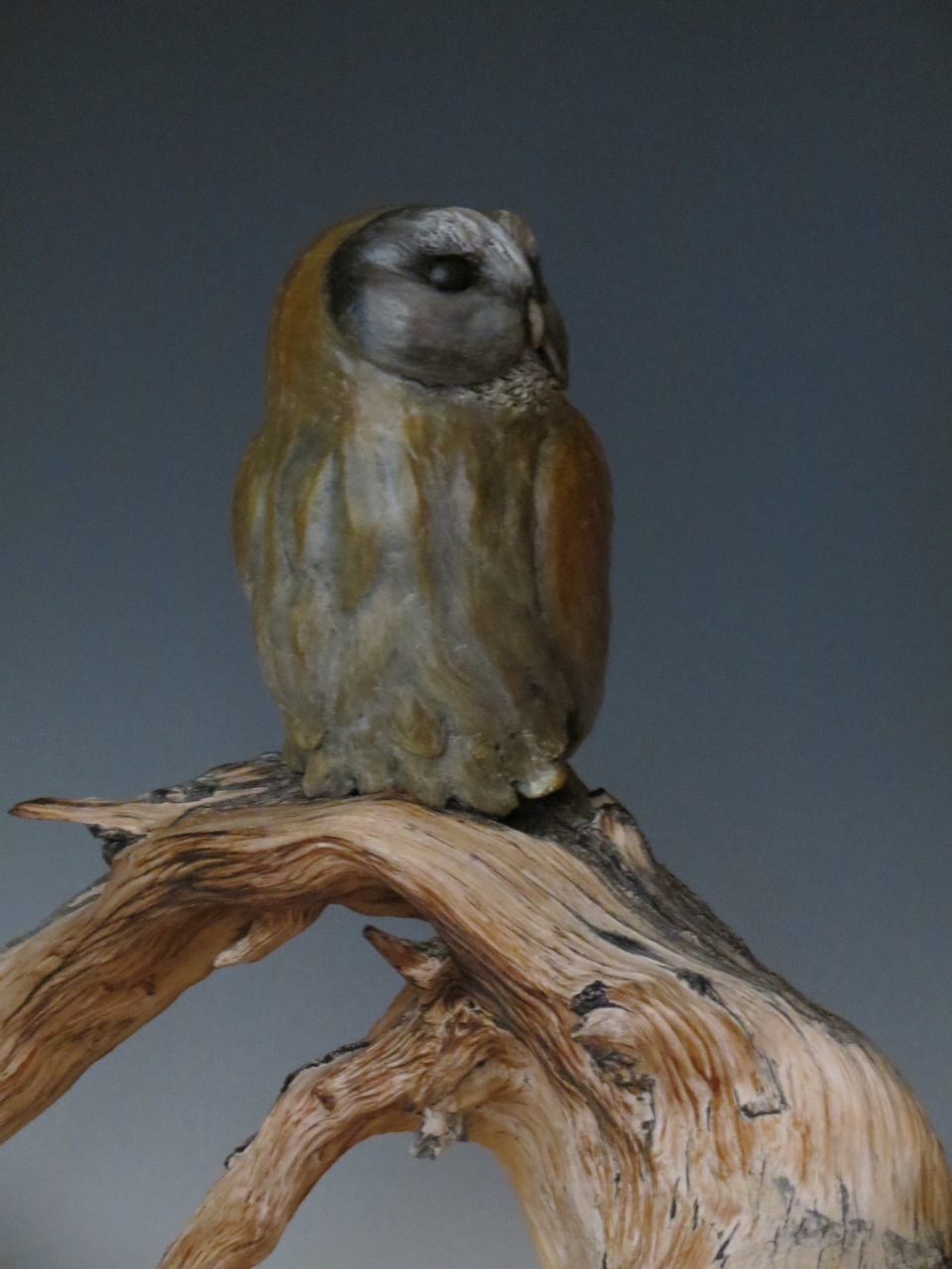 Last Light Before Flight