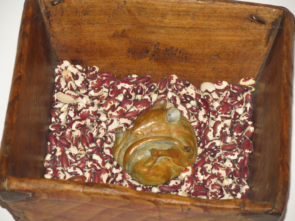 Sleeping Mouse – Holding Foot