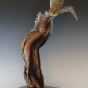 I'm Looking Through You