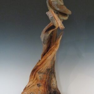 Flight by Moon Light