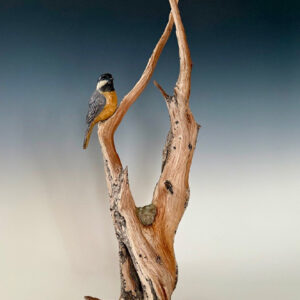 The Promise of New Wings